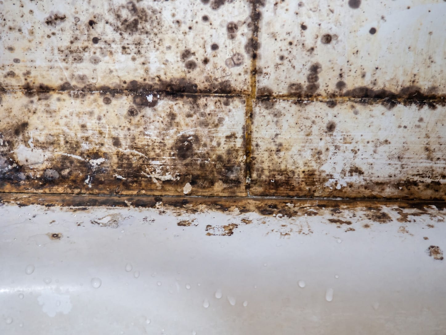 Mold growing along tile grout lines in a bathroom